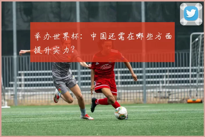 举办世界杯:中国还需在哪些方面提升实力?