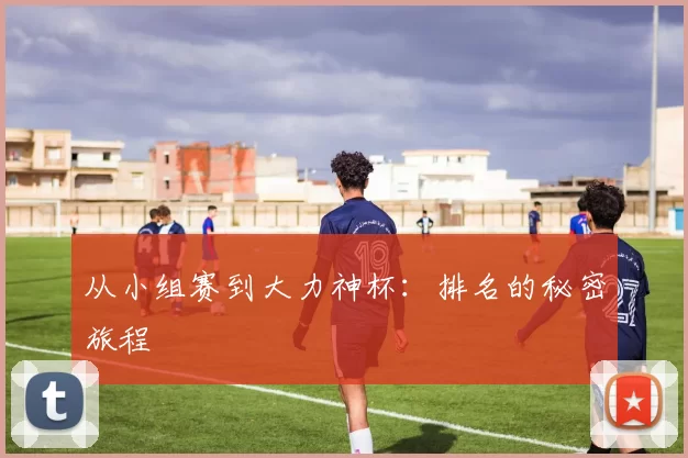 从小组赛到大力神杯:排名的秘密旅程