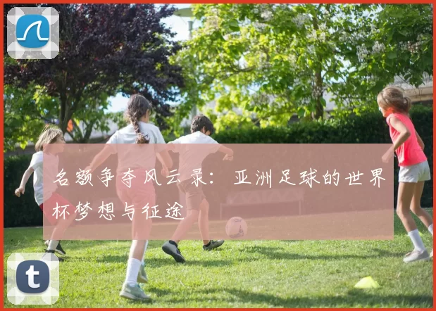 名额争夺风云录:亚洲足球的世界杯梦想与征途
