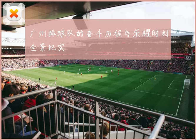 广州排球队的奋斗历程与荣耀时刻全景纪实