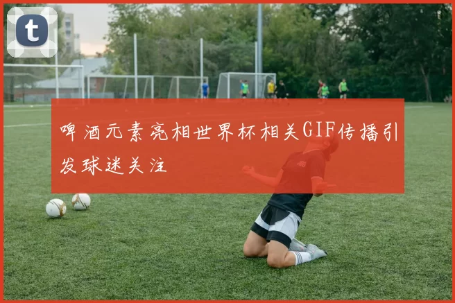 啤酒元素亮相世界杯相关GIF传播引发球迷关注