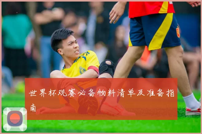 世界杯观赛必备物料清单及准备指南