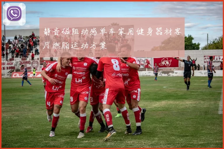 静音磁阻动感单车家用健身器材客厅燃脂运动方案