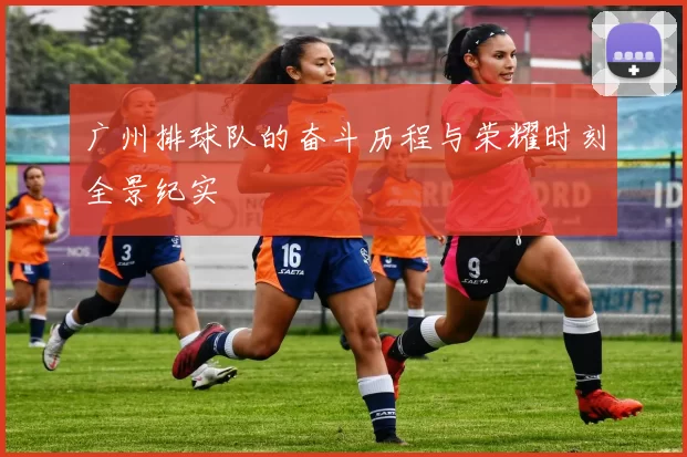 广州排球队的奋斗历程与荣耀时刻全景纪实