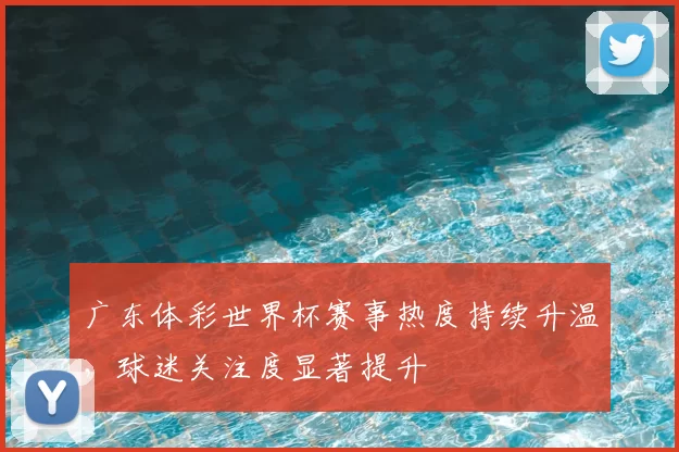广东体彩世界杯赛事热度持续升温,球迷关注度显著提升
