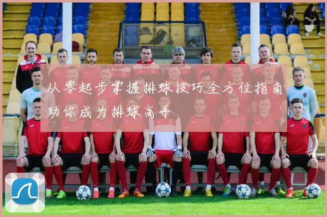 从零起步掌握排球技巧全方位指南助你成为排球高手