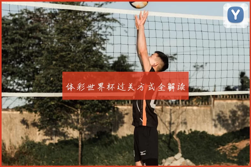 体彩世界杯过关方式全解读