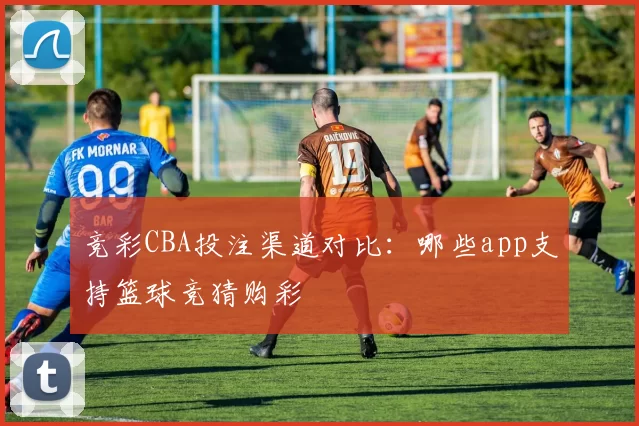 竞彩CBA投注渠道对比:哪些app支持篮球竞猜购彩