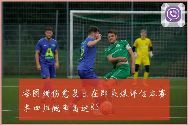 塔图姆伤愈复出在即美媒评估本赛季回归概率高达85