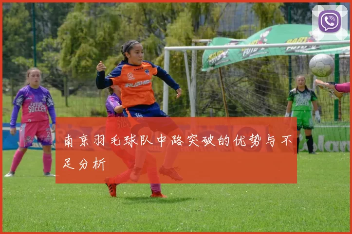 南京羽毛球队中路突破的优势与不足分析