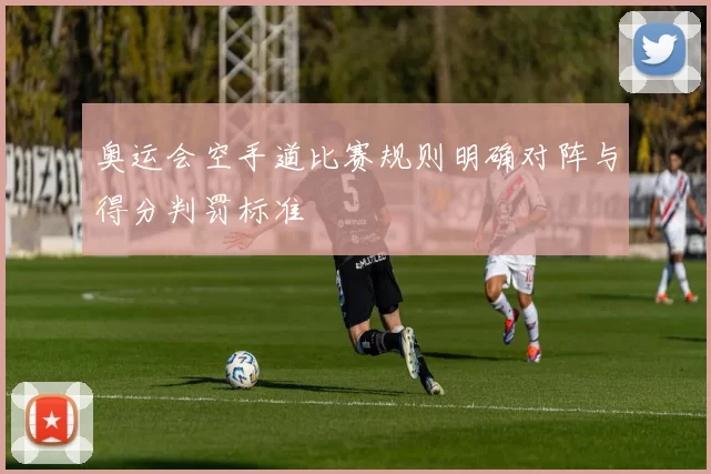 奥运会空手道比赛规则明确对阵与得分判罚标准